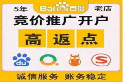 SEM推广与竞价代运营结合的实战案例分析